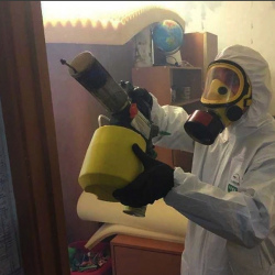 Уничтожение клопов в квартире. Вязьма